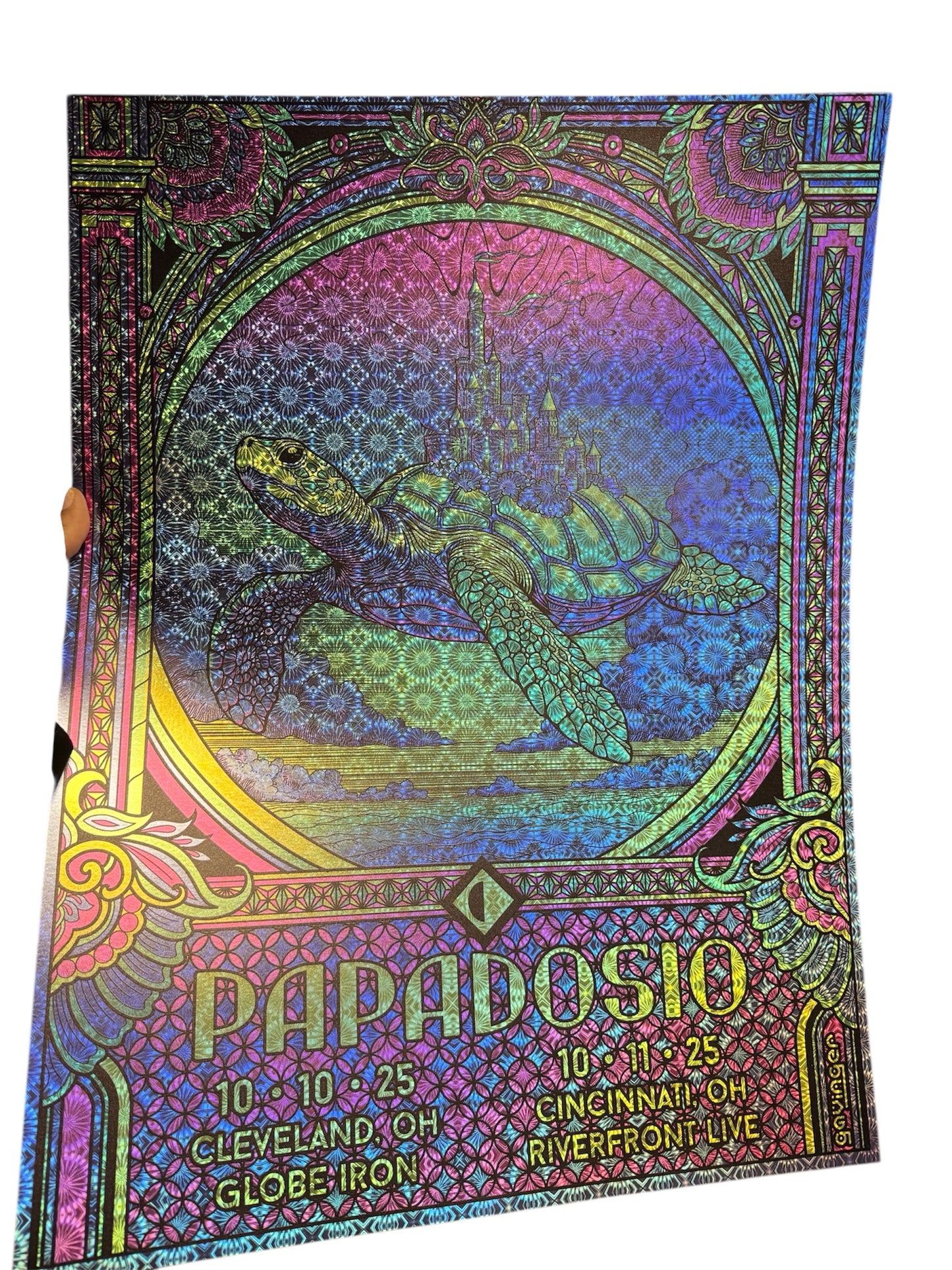 Papadosio x Gavinger Mr Turtle's Ohio Poster