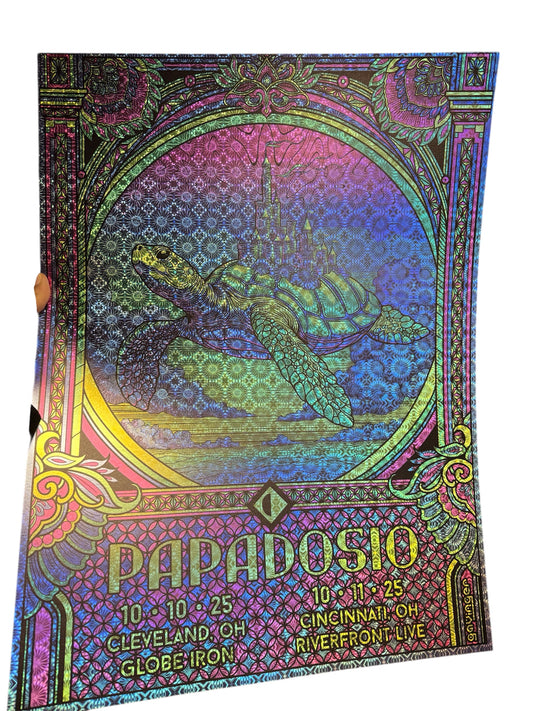 Papadosio x Gavinger Mr Turtle's Ohio Poster