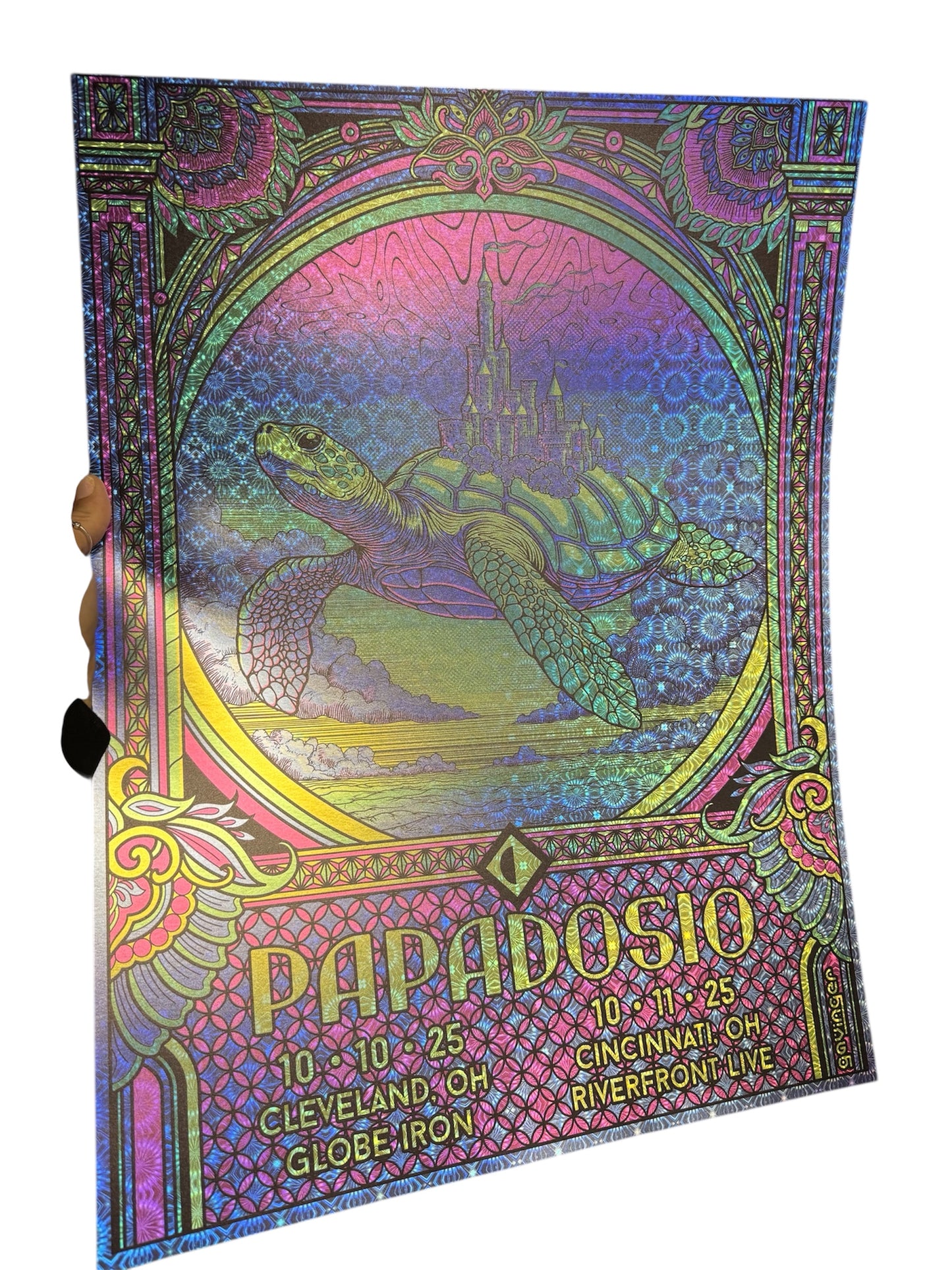 Papadosio x Gavinger Mr Turtle's Ohio Poster