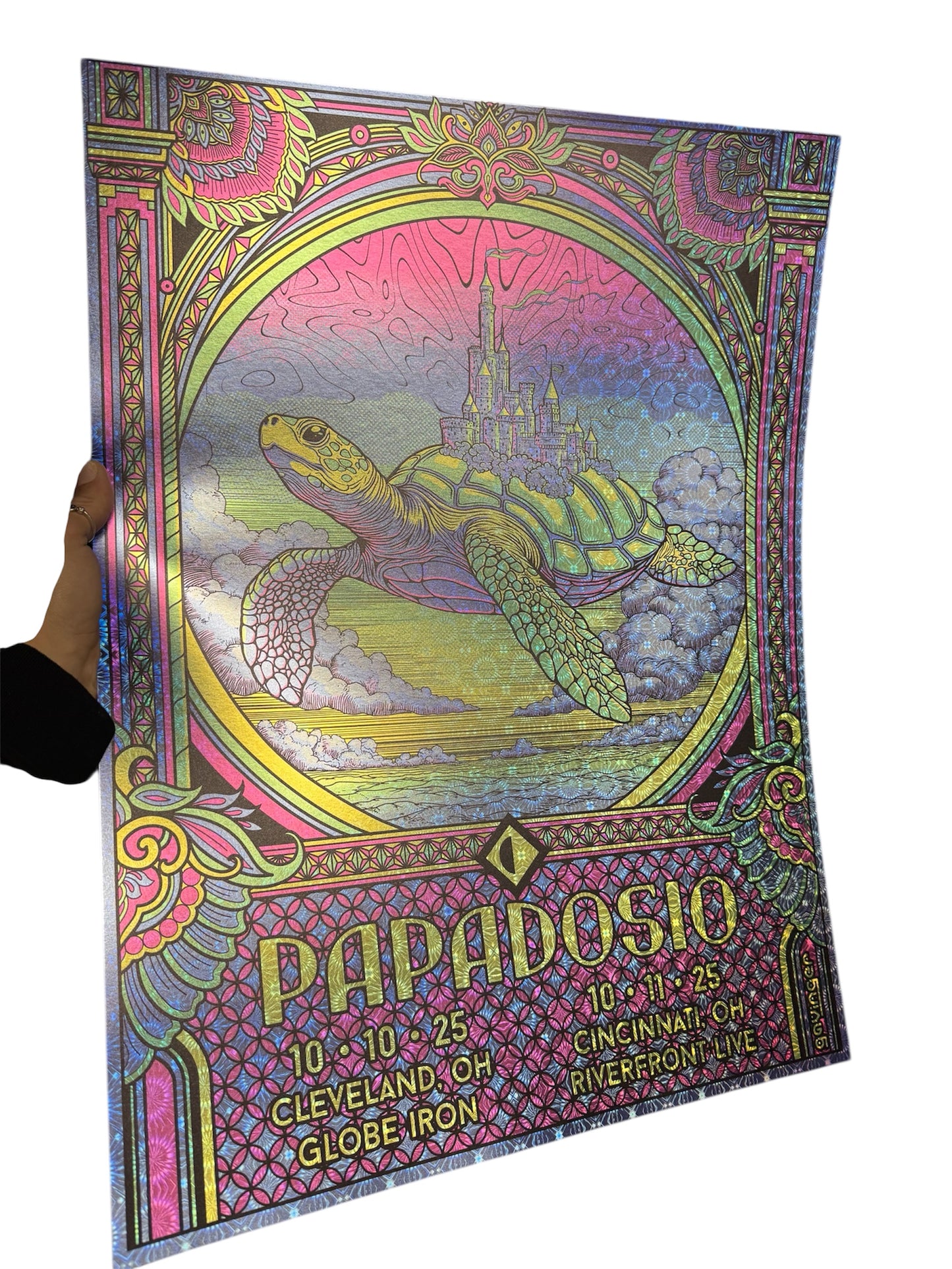 Papadosio x Gavinger Mr Turtle's Ohio Poster