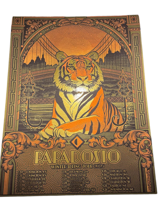 Papadosio 2025 Winter/Spring Tour Poster by Gavinger